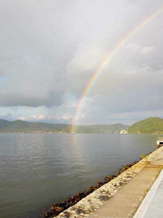 Apartman Bogojevic Golubac Luaran gambar